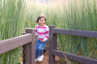 Nature discoveries await Chicago families at Habitat Park - Chicago Parent