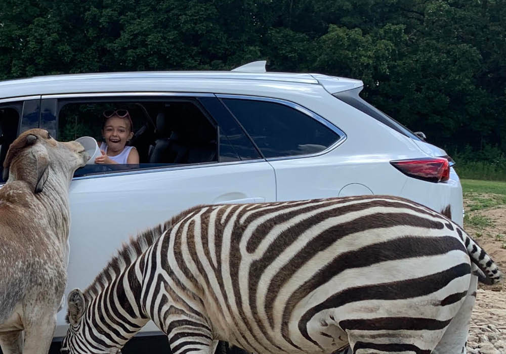 safari in lake geneva