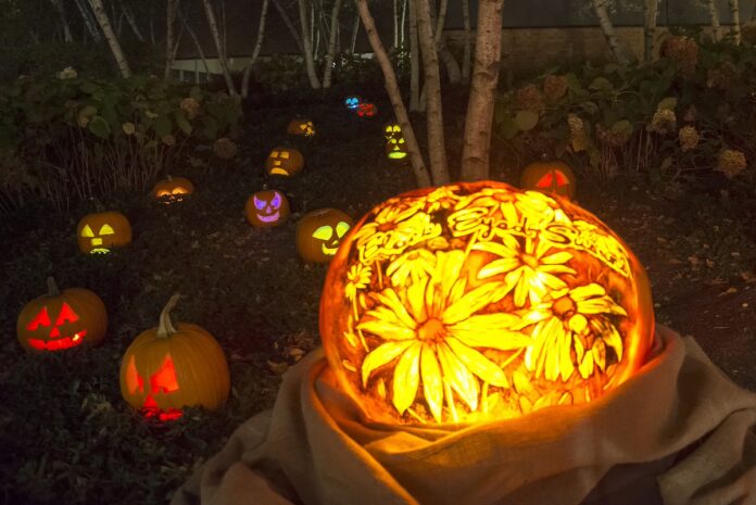 Night of 1,000 Jack-o'-Lanterns