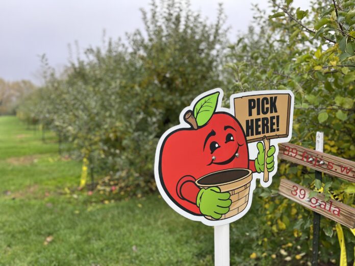 Best Places for Apple Picking Near Chicago 2024 Guide Chicago Parent