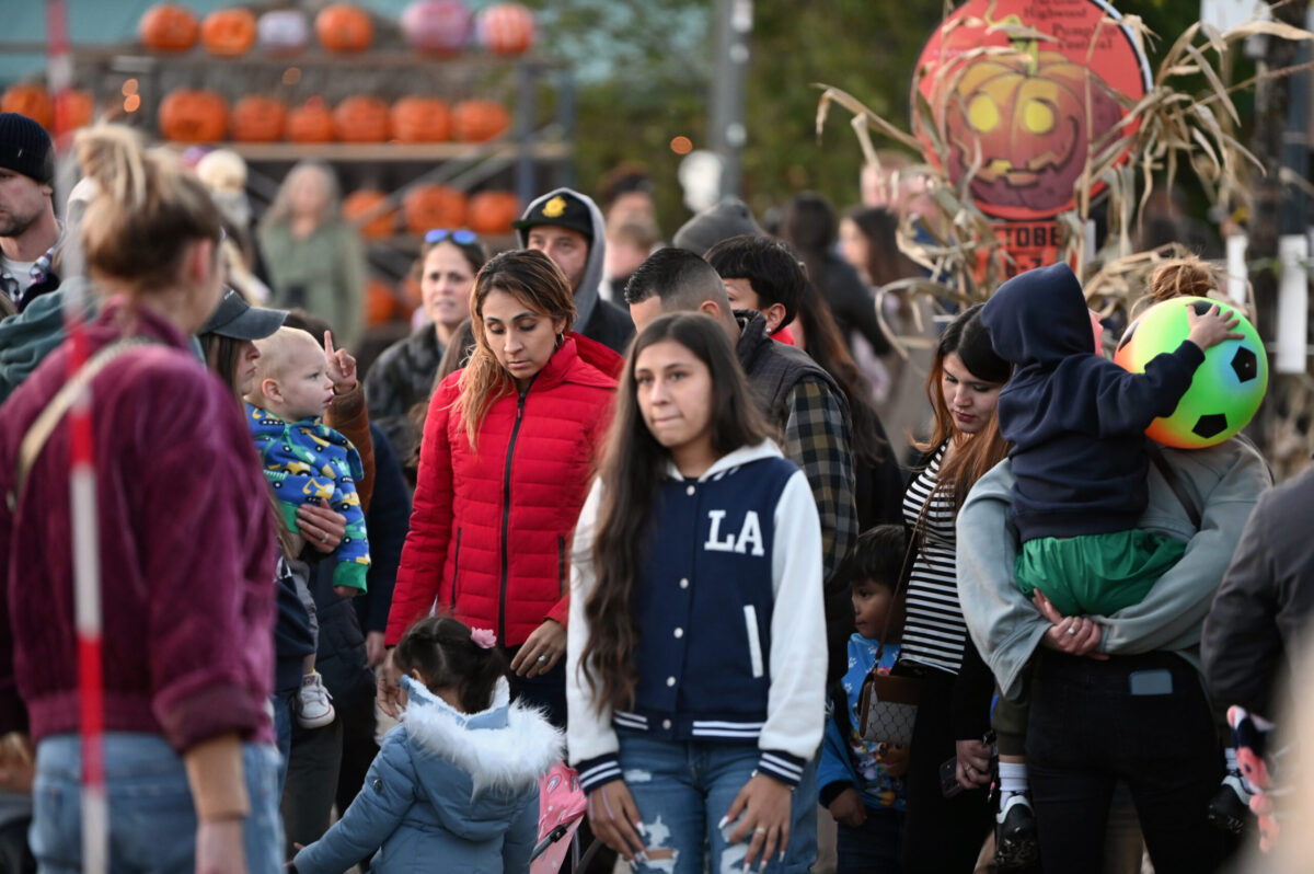 The Great Highwood Pumpkin Fest