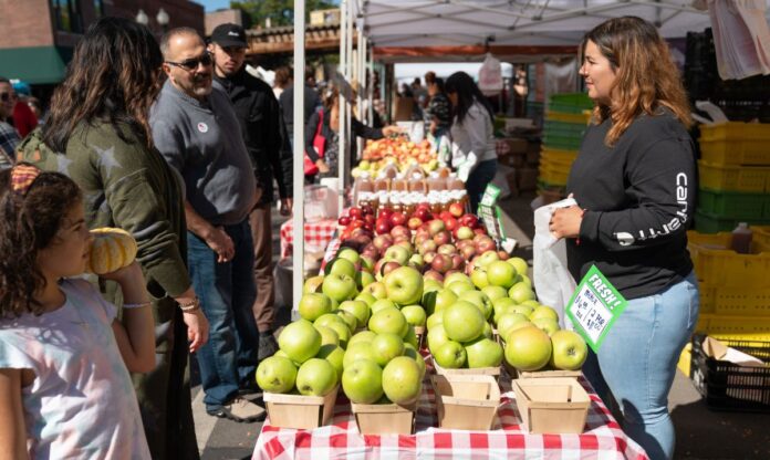 Fall Festivals in Chicagoland