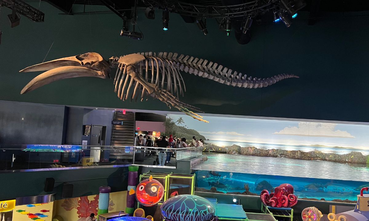 Ripley's Aquarium