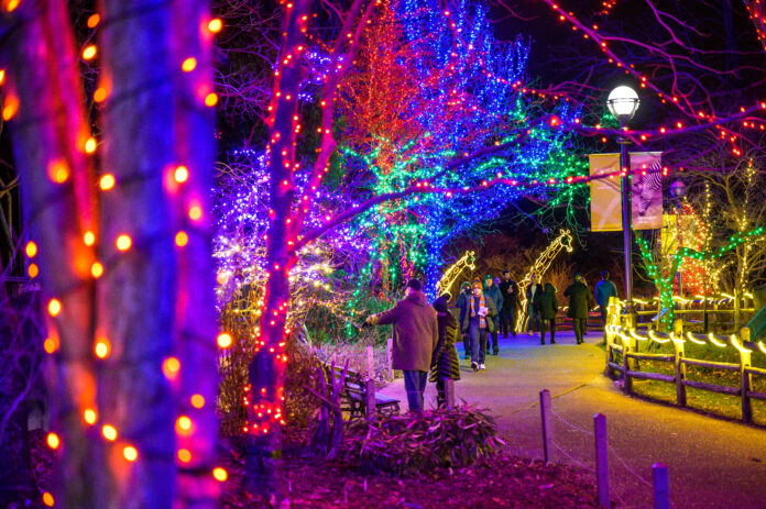 Annual ZooLights at Lincoln Park Zoo