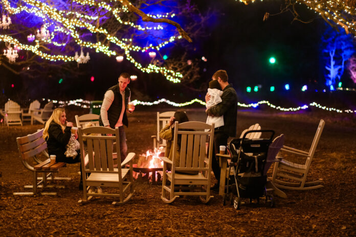 Forest of Lights at Fair Oaks