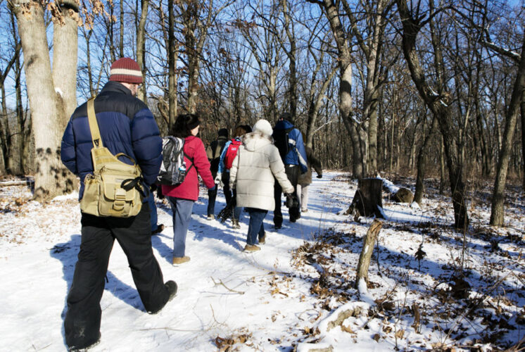 Poetry Story Trail
